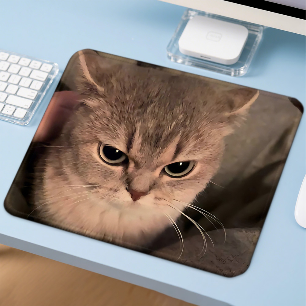 Mosepad Kawaii Funny Cat 컴퓨터 매 - Gaming Accessories Companies 리뷰 및 가격